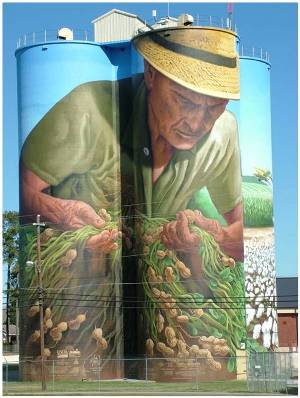 "The Peanut Farmer" by Charles Johnston