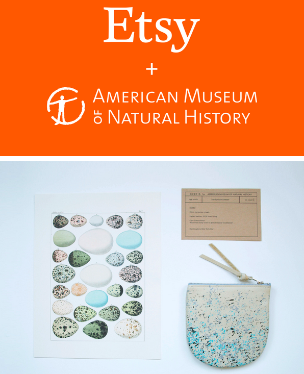 Etsy Artisans Bring The American Museum Of Natural History To Life
