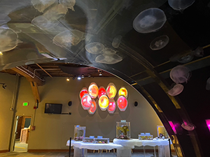 A rounded hall with the images of jellyfish on the ceiling opens into a room with aquatic exhibits on a white table with lanterns further behind that have orange and yellow images projected upon them.